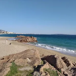 Sainte Rosalie Cannes